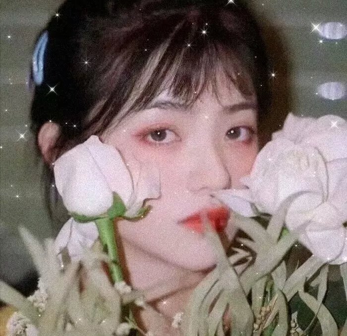 继承者风云